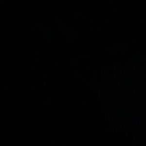 Meet your Posher, Zackeyus